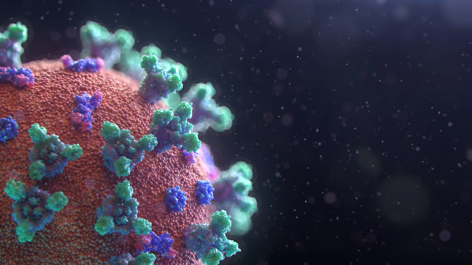 Effect Of The Pandemic