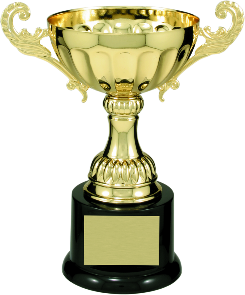 Shop & Personalize "Metal Cup Trophy Award 100 Series" at Dell Awards
