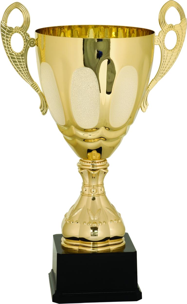Shop & Personalize "Metal Cup Trophy Award 700 Series" at Dell Awards